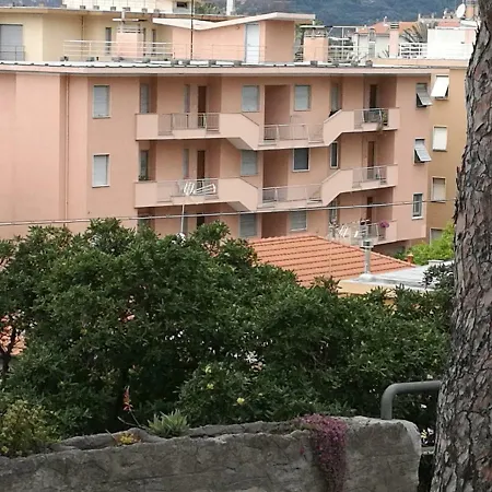 Bouganvillea - Mare E Tranquillita Bordighera