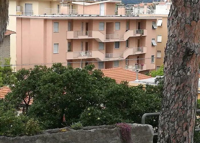 Bouganvillea - Mare E Tranquillita 博尔迪盖拉