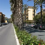 Bouganvillea Bordighera
