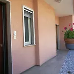 Bouganvillea Bordighera