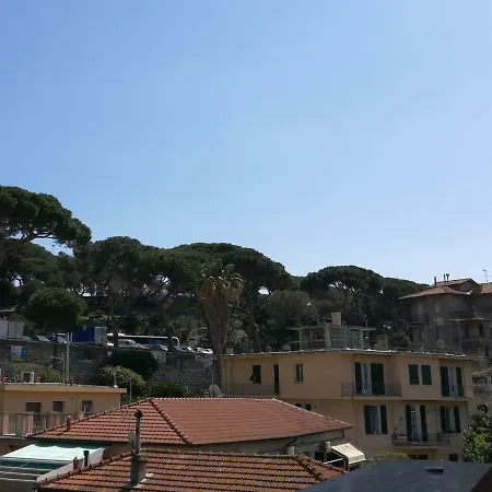 Bouganvillea - Mare E Tranquillita *