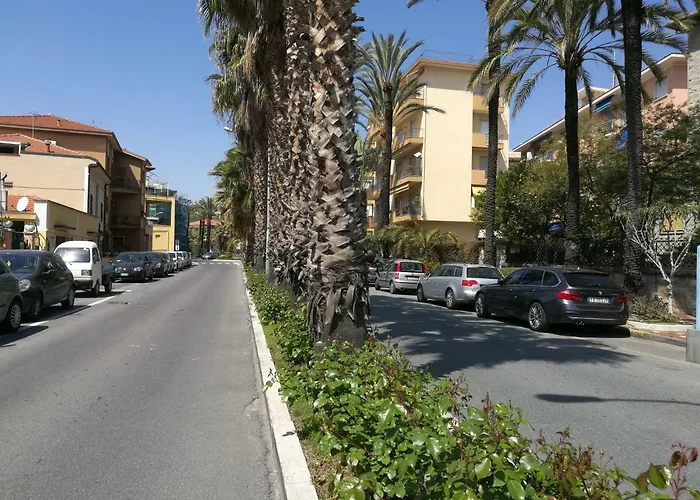 Bouganvillea - Mare E Tranquillita Bordighera